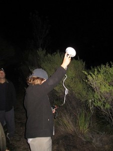 Kiwi listener solicits for kiwi