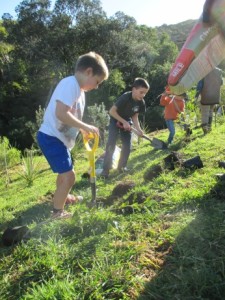Two boys race to dig a hole